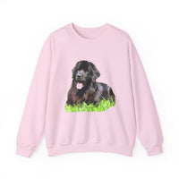 Newfoundland 'Madden' Unisex 50/50 Crewneck Sweatshirt