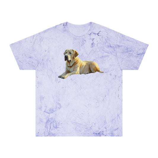 Broholmer Love Unisex Colour Blast T-Shirt