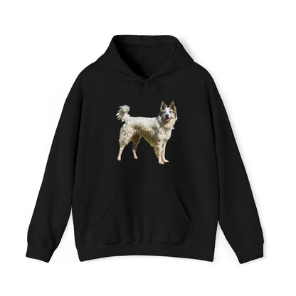 Pyrenean Shepherd  Unisex 50/50 Hooded Sweatshirt