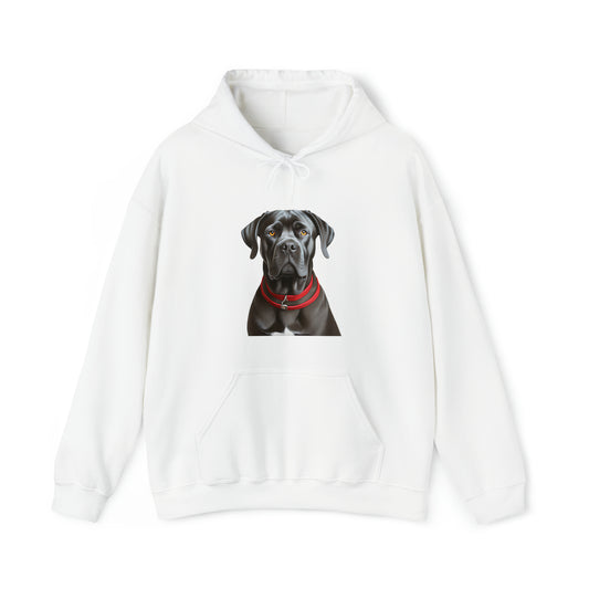Cane Corso Cozy Charm Hoodie