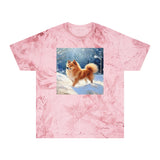 Finnish Spitz - Unisex Color Blast T-Shirt