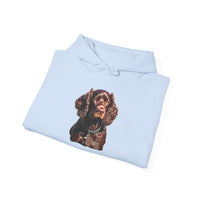 Boykin Spaniel --  Unisex 50/50 Hooded Sweatshirt