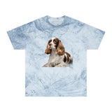 French Spaniel Classic Color Blast T-Shirt