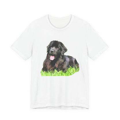Newfoundland 'Madden' Unisex Jersey Short Sleeve Tee
