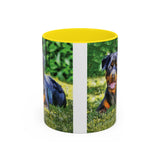 Rottweiler - Lina Accent Coffee Mug (11, 15oz)