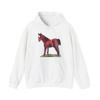 Contata Unisex 50/50 Hoodie: Comfort Meets Style