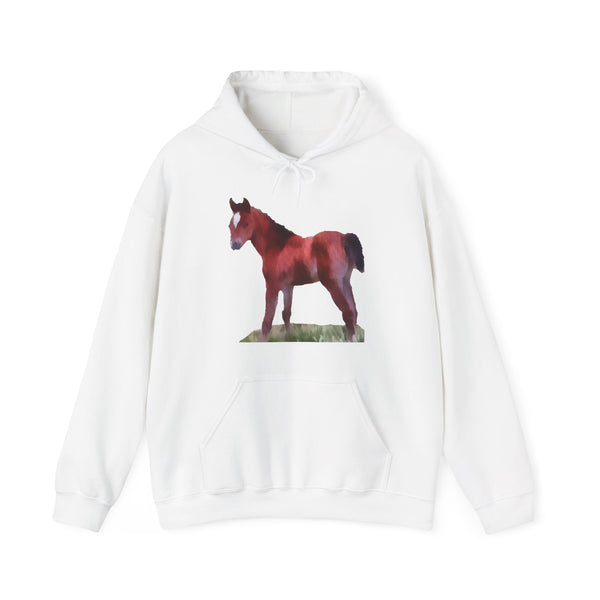 Contata Unisex 50/50 Hoodie: Comfort Meets Style