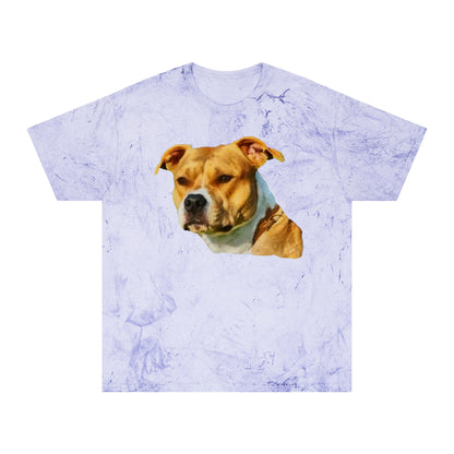 Pit Bull 'Herculese' Unisex Cotton Color Blast T-Shirt