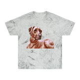 Rhodesian Ridgeback 'Thor' Unisex Cotton Color Blast T-Shirt