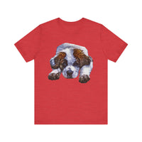 St. Bernard Sontuc - Unisex Cozy Comfort Tee