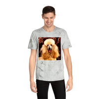 Poodle Cotton Unisex Color Blast T-Shirt