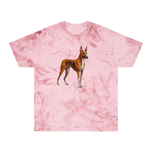 Azawakh Unisex Color Blast T-Shirt: Wear Your Art