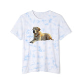 Broholmer - Danish Mastiff Tie-Dyed T-Shirt