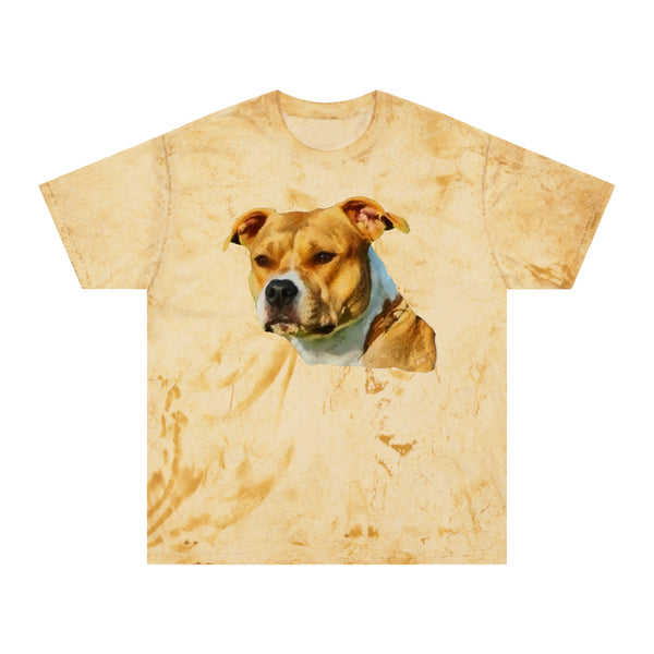 Pit Bull 'Herculese' Unisex Cotton Color Blast T-Shirt