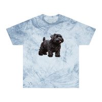 Black Russian Terrier Unisex Color Blast T-Shirt