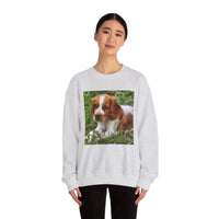 Welsh Springer Spaniel Unisex Crewneck Sweatshirt