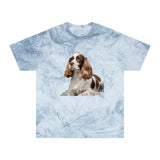 French Spaniel Classic Color Blast T-Shirt