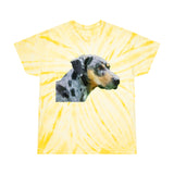 Catahoula 'Clancy' -  Unisex Tie-Dye Tee, Cyclone