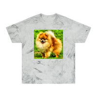 Pomeranian 'Pom Pom' Unisex Color Blast T-Shirt