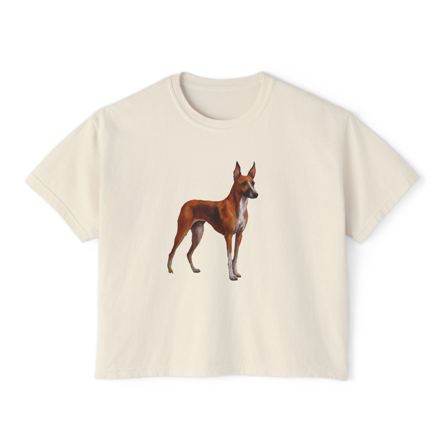 Azawakh Women's Oversized Boxy Tee: A Unique Expression of Elegance