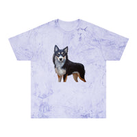 Lapponian Herder Unisex Color Blast T-Shirt