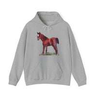 Contata Unisex 50/50 Hoodie: Comfort Meets Style