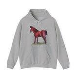 Contata Unisex 50/50 Hoodie: Comfort Meets Style