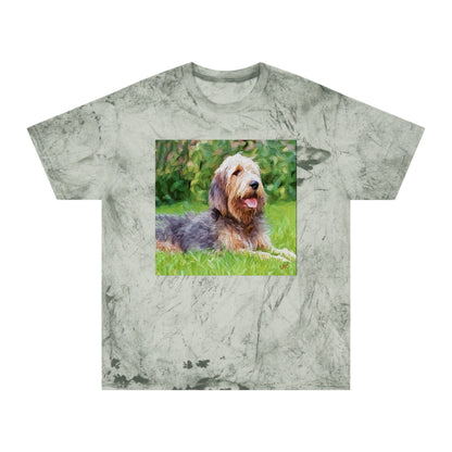 Otterhund Unisex Cotton  -  Color Blast T-Shirt