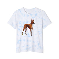 Azawakh Unisex Fashion Tie-Dyed T-Shirt