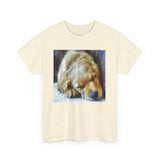 Zuko's Cozy Adventure Tee