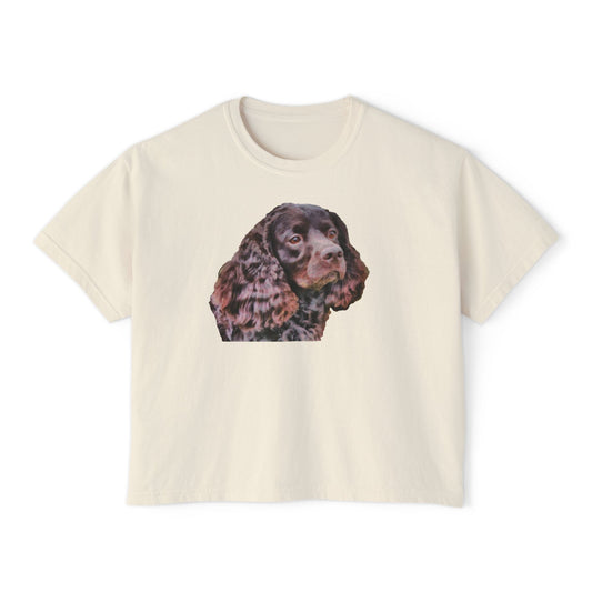 American Water Spaniel Women's Oversized Boxy Tee