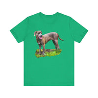 Blue Lacy 'Tex'  -  Classic Jersey Short Sleeve Tee
