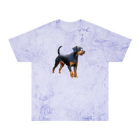 Deutscher Jagdterrier - Unisex Color Blast T-Shirt