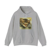 Sleepy Brucie the Cat - Classic 50/50 Hoodie