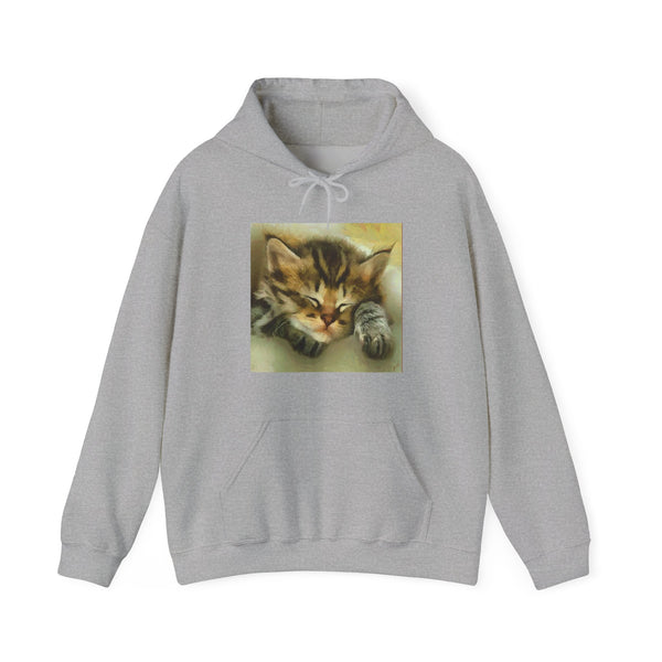 Sleepy Brucie the Cat - Classic 50/50 Hoodie