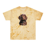 Boykin Spaniel Unisex Color Blast T-Shirt