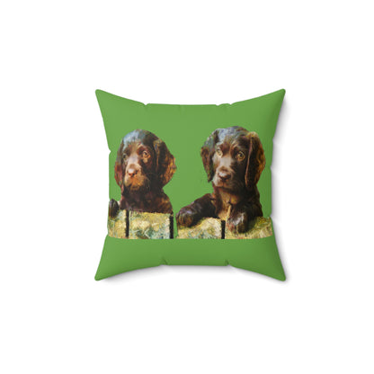 Boykin Spaniels Spun Polyester Throw Pillow