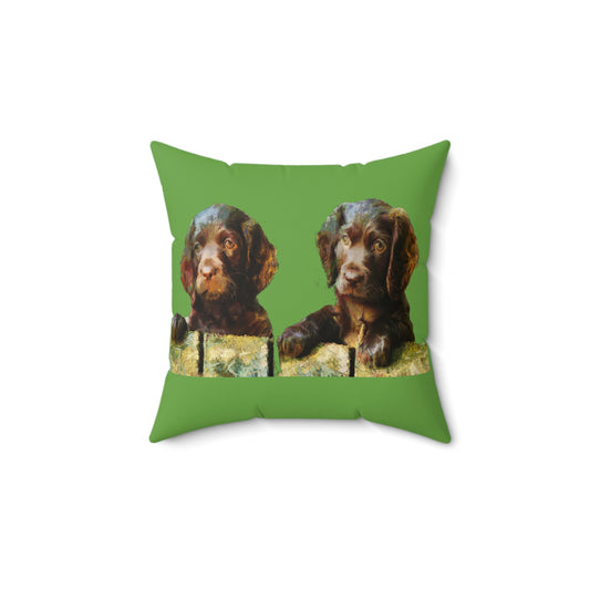 Boykin Spaniels Spun Polyester Throw Pillow