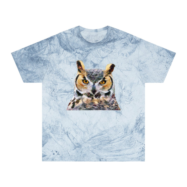 Great Horned Owl 'Hooty' Unisex Cotton Color Blast T-Shirt