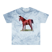 Horse 'Contata' Unisex Cotton Color Blast T-Shirt