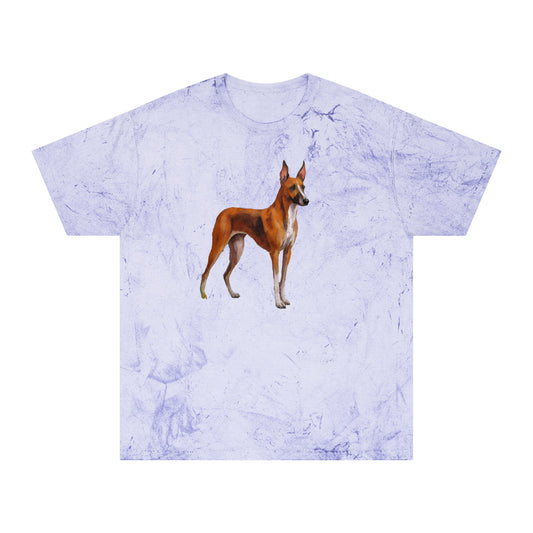 Azawakh Unisex Color Blast T-Shirt: Wear Your Art