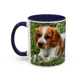 Welsh Springer Spaniel Ceramic Accent Coffee Mug (11, 15oz)