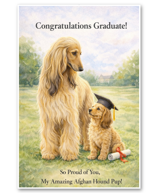 Afghan Hound - Congratuations - So Proud of You - Graduation Card