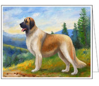 Anatolian Shepherd Fine Art Cards -  Set of Six 5 x 7