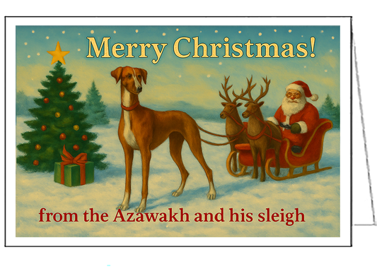 Azawakh Christmas Cards - Set of 6