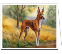 Azawakh, African Sight Hound 5 x 7 inches Set of 6 notecards Premiu