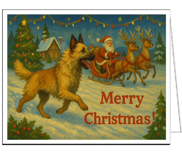 Belgian Laekenois Christmas Cards - Set of 6