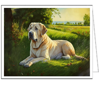 Broholmer - Danish Mastiff Fine Art Notecards- 5 x 7, Set of Six