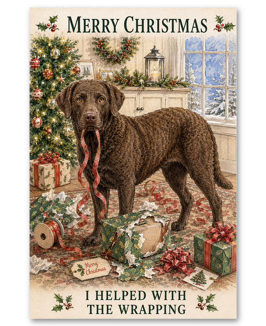 Chesapeake Bay Retriever -  Helping Wrap Christmas Presents