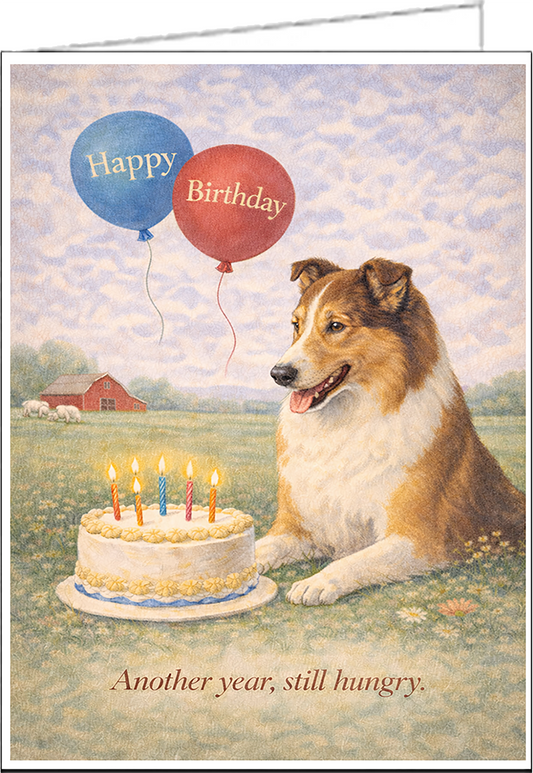 Smooth Coated Collie Birthday Card